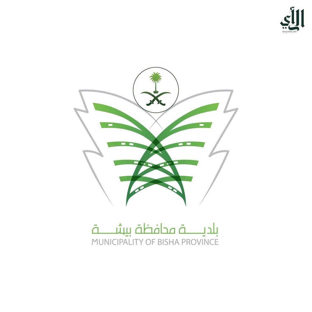 بلدية بيشه